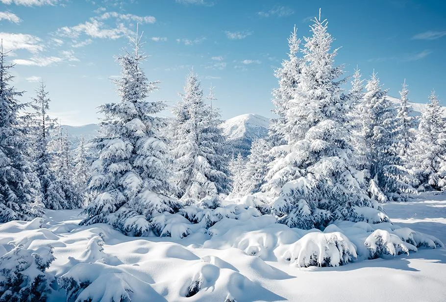 Isolamento termico in inverno